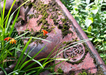 Brandy Bottom Colliery - Wheel