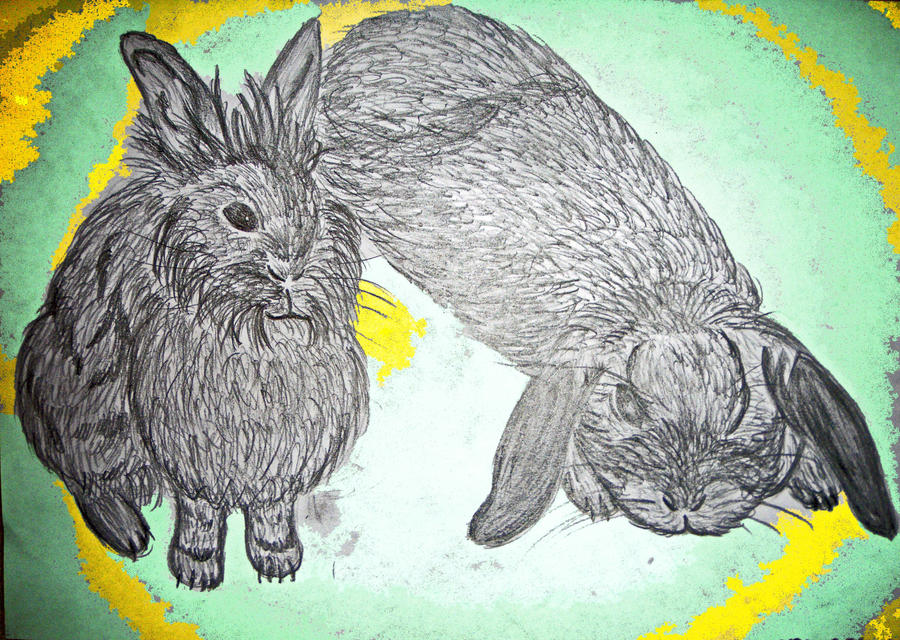 Deviantart Mini Rabbit My little rabbits by Naarachen on DeviantArt