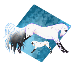 0358 CMA's Lyra's Star