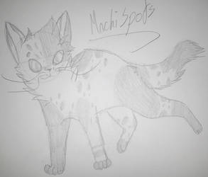 Mochispots