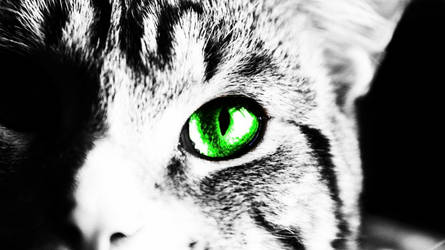 Cats EYE by Hammie44