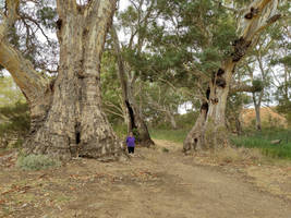 World's End Reserve