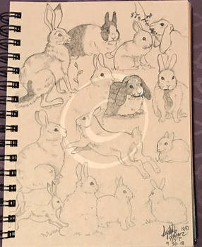 Lilly-Lamb Sketchbook 2018 Part 31