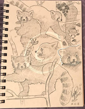 Lilly-Lamb Sketchbook 2018 Part 35