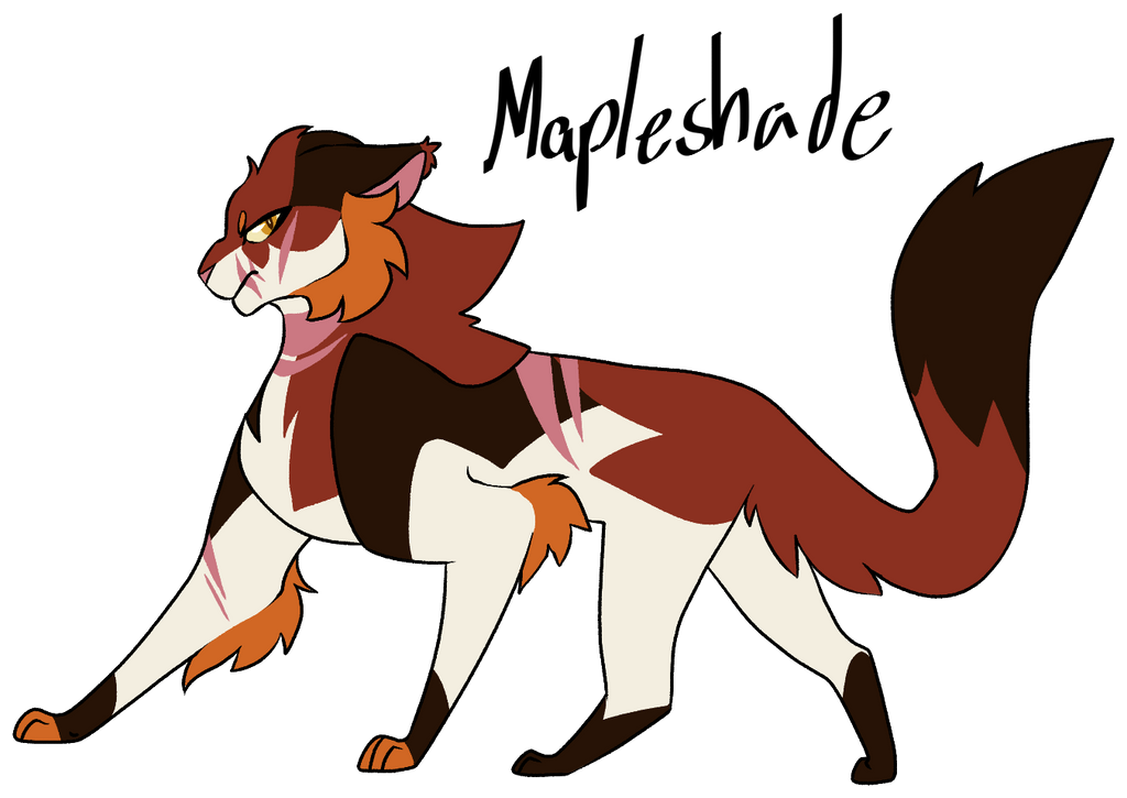 Mapleshade by ErrorEmma on DeviantArt