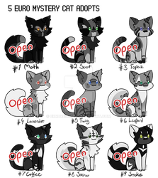 Cheeb Cat ErrorEmma - Hobbyist, Digital Artist | DeviantArt