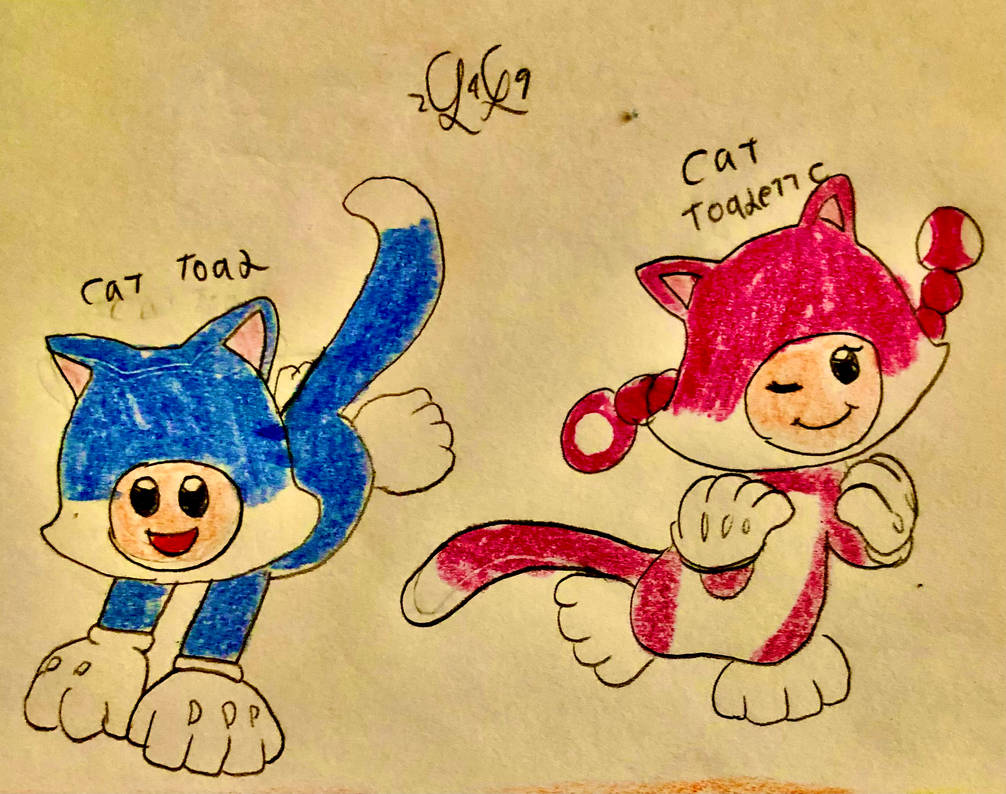 Toad Cat Rabbit Cat Toad and Cat Toadette by LugiaLover249 on DeviantArt