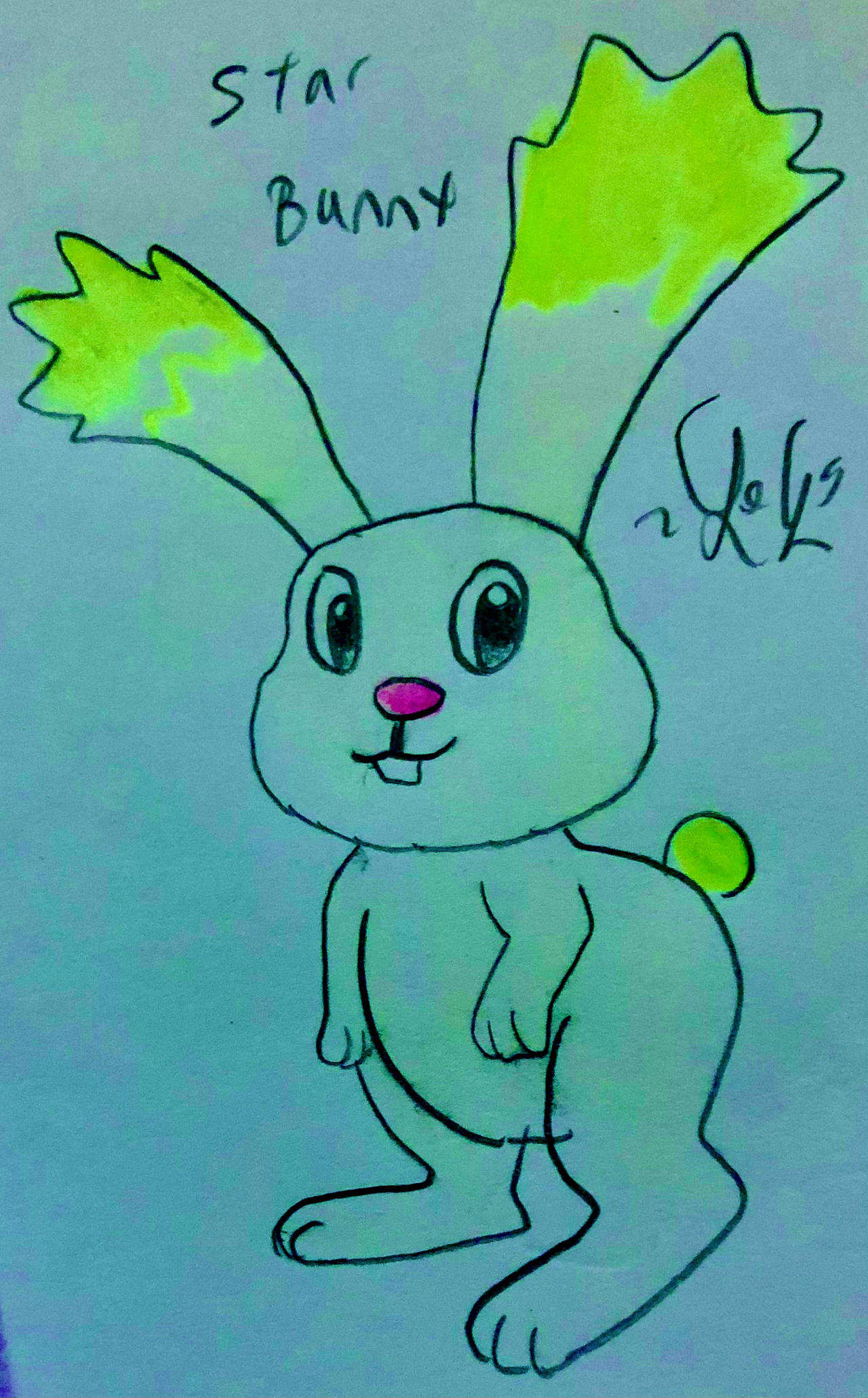 Star Bunny by LugiaLover249 on DeviantArt