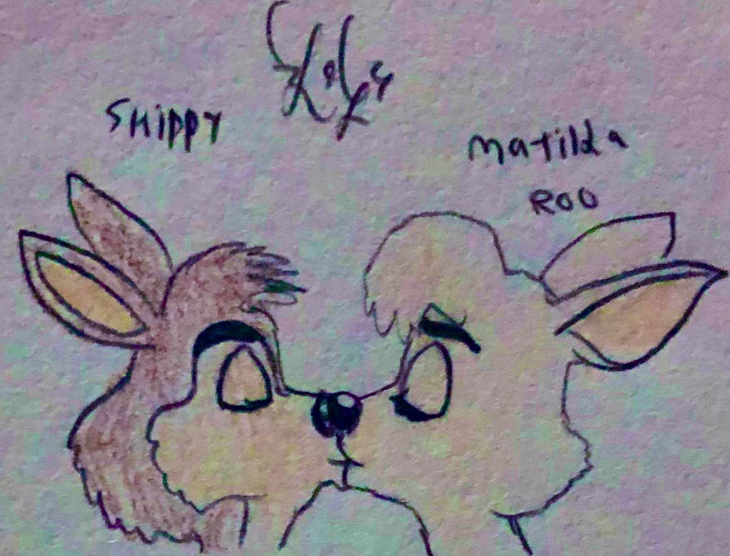 Skippy x Matilda Roo by LugiaLover249 on DeviantArt