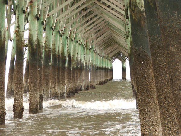 Barnacle Post Barnacles on the Pier by mabeypics on DeviantArt