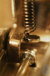 Stapler's Spring by AfricanObserver