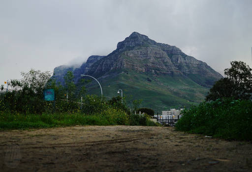 The road to Devil's Peak