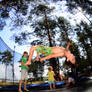 flights over a trampoline