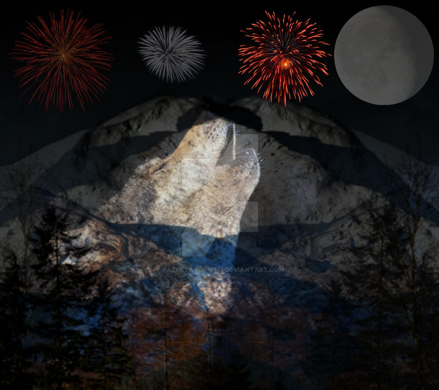 Wolf Howling at moon by RachelEAdams33 on DeviantArt