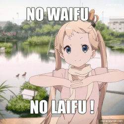 No Waifu No Laifu