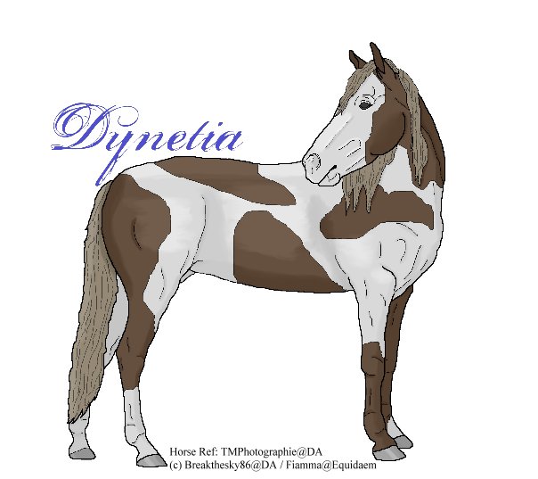 Dynetia