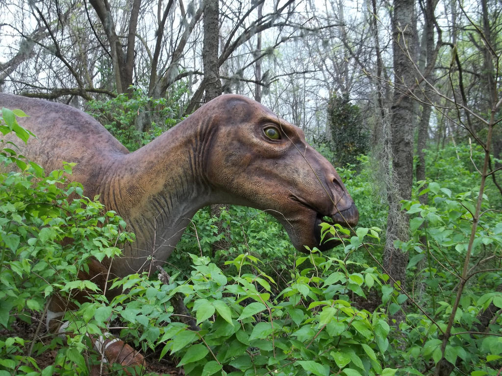 Dinosaur 6