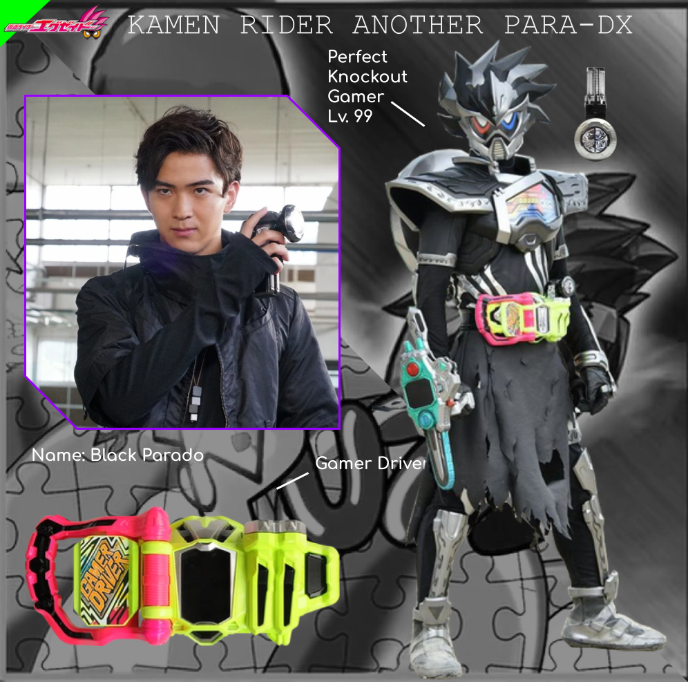 Another Rider Rider File: Kamen Rider Another Para-DX by Powerman68 on DeviantArt