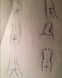 butt study