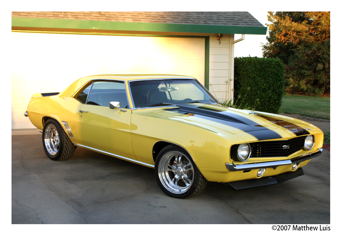 69 BumbleBee Front shot