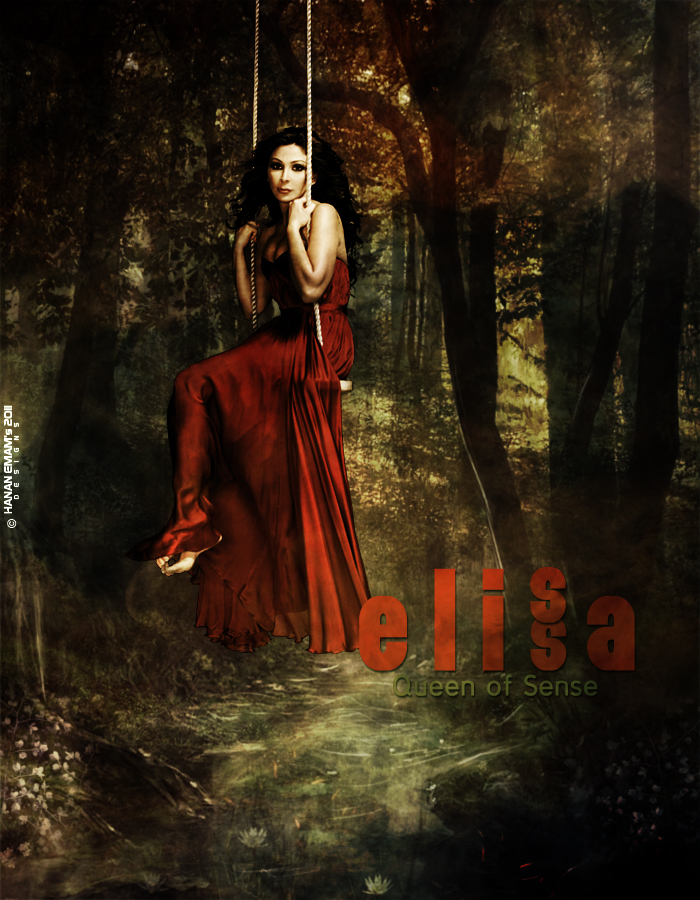 Elissa Poster 2011