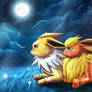 Moonlight Field