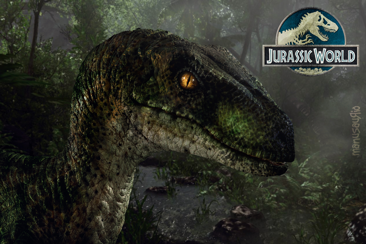 Into Raptor Jurassic World Raptor by MANUSAURIO on DeviantArt