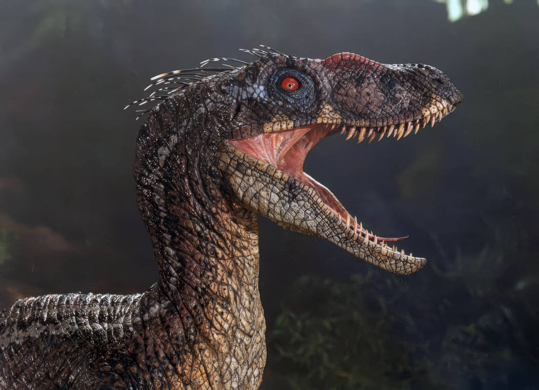 MALE VELOCIRAPTOR JP3 by MANUSAURIO on DeviantArt