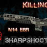 Killing Floor - M14 EBR
