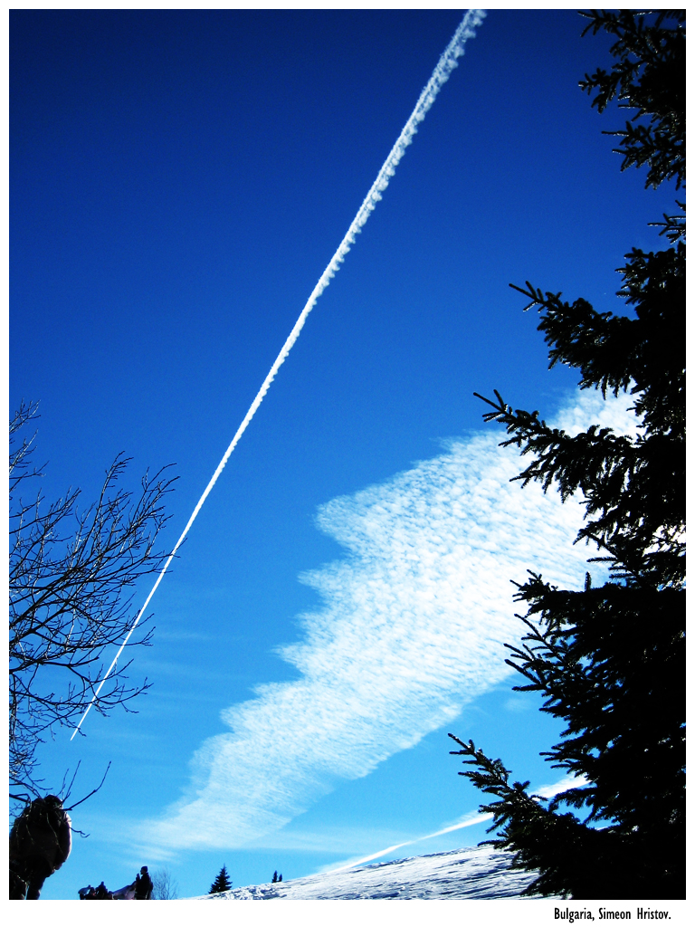 Airplane in sky