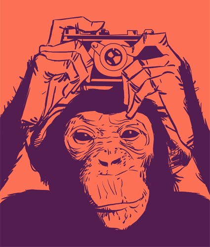 ape and camera