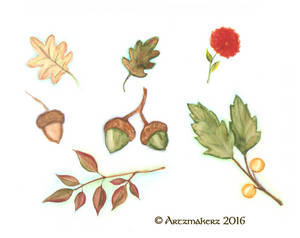 Watercolor Acorns 04