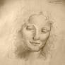 Leonardo da Vinci Copy