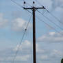 powerlines1