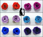Bright Colored Roses by Talty