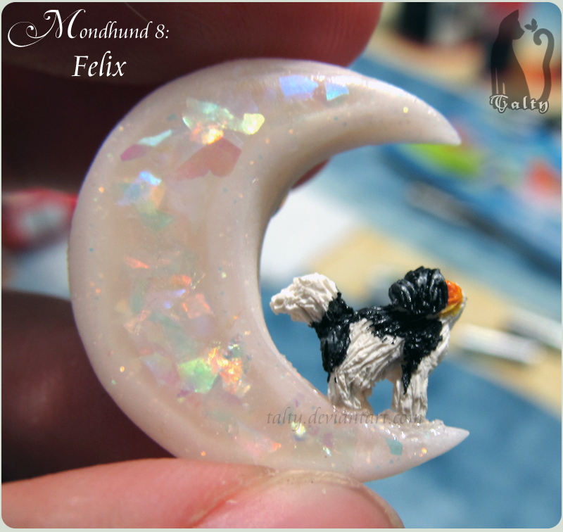 Mondhund 8: Felix by Talty