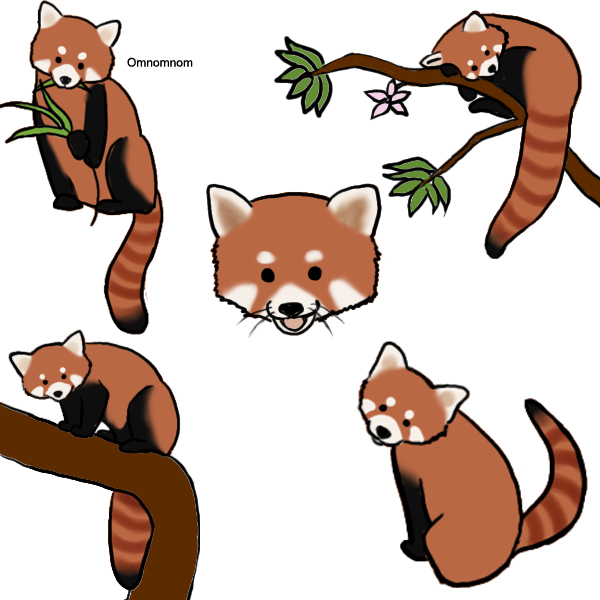 Red Panda By Kiraiko44 By Deviantart Zoo On Deviantart Red Panda By Kiraiko44 By Deviantart Zoo On Deviantart