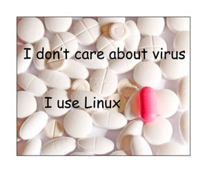 I use Linux