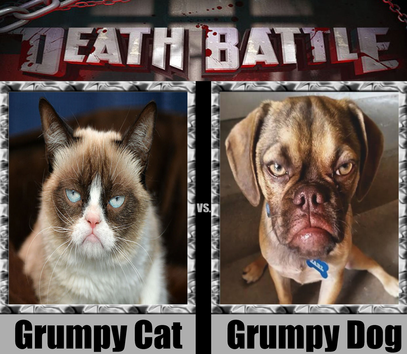 Death Battle 25 Grumpy Pets by nickanater1 on DeviantArt