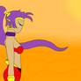 Shantae ans the sunset