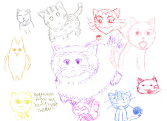 Anime Cat Sketches