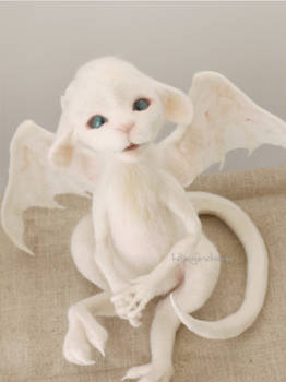 White dragon baby front side