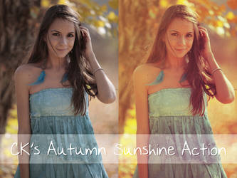 CK's Autumn Sunshine Action by ClefairyKid