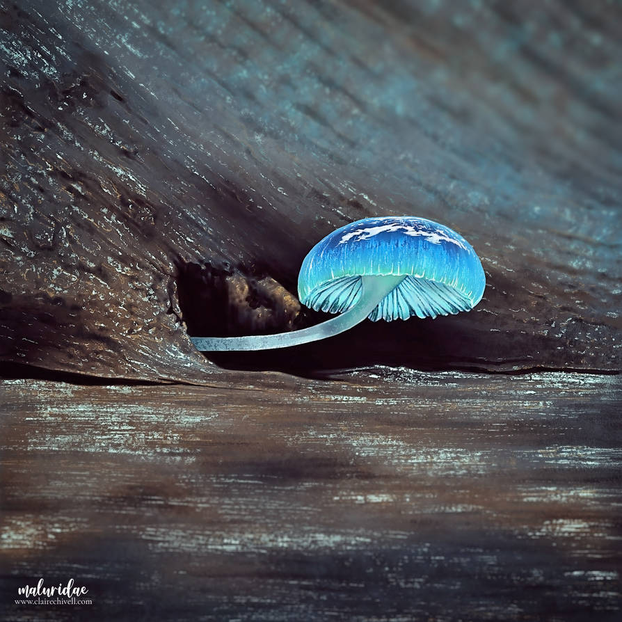 Blue Mushroom