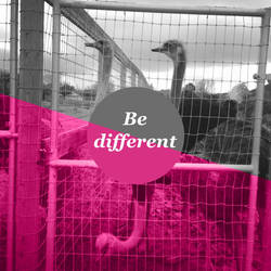 Be different