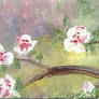 cherry blossom painting