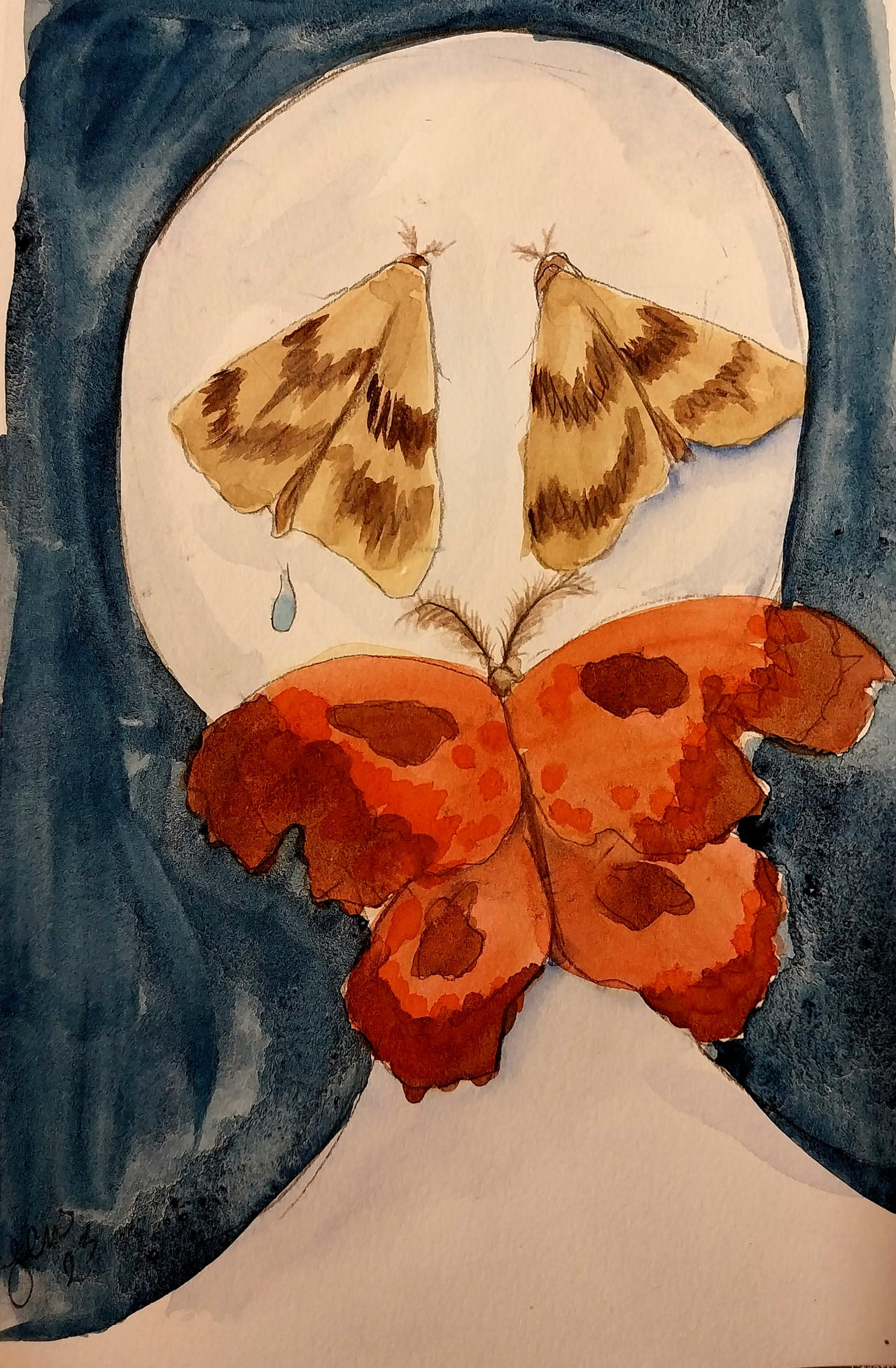 Moth Fear Fear of butterflies and moths by PlushieBeauty on DeviantArt
