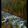 Henry's Fork of Snake River