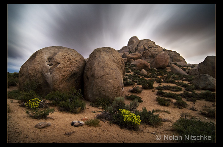 Buttermilks by Moonlight