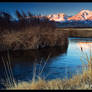 Owens River Sunrise